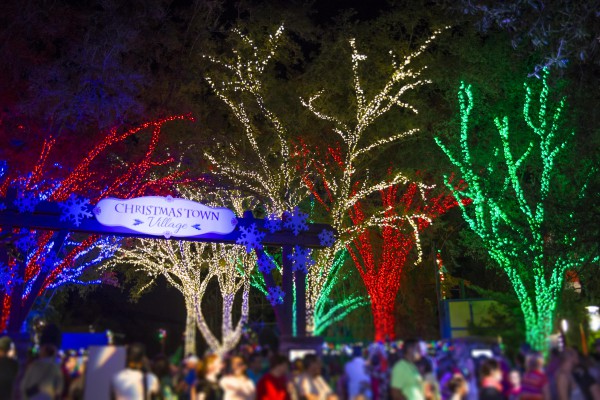 Busch Gardens Tampa Bay Christmas Town Lights