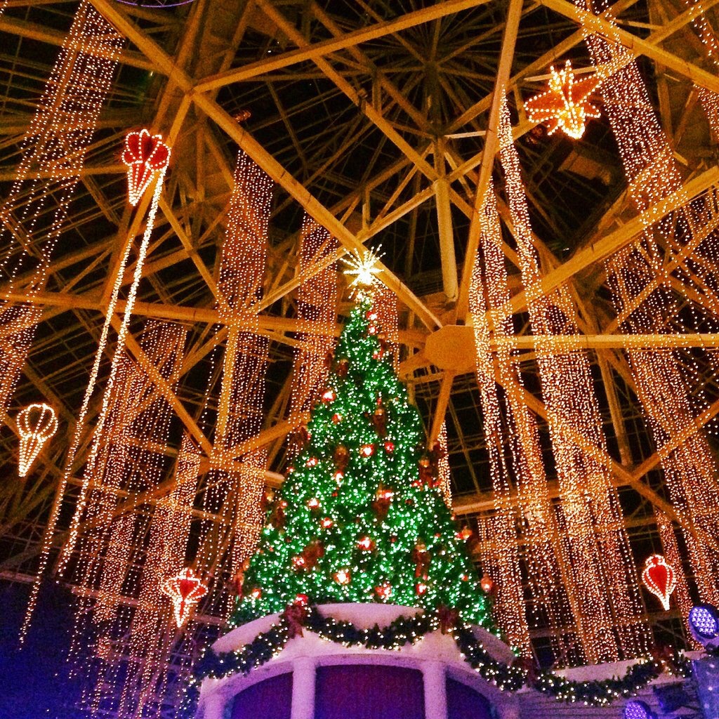 Florida Family Holiday Traditions Christmas at Gaylord Palms Resort