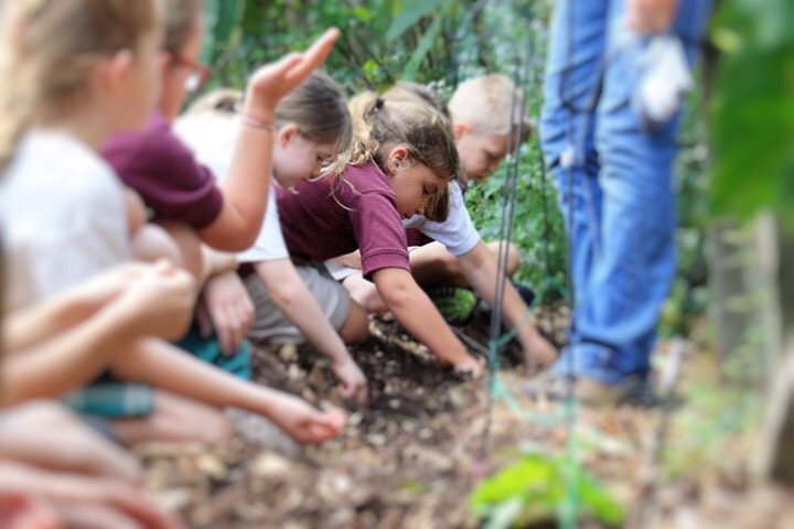 Learning Gate Community School