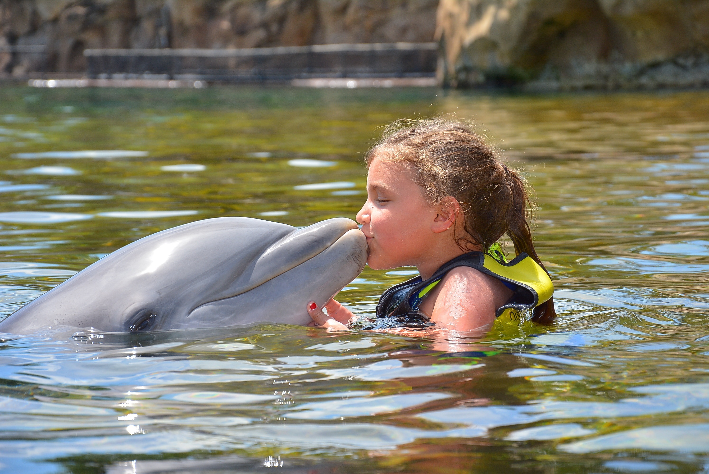 Discovery Cove- Shelby