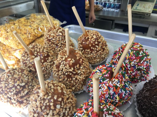 Florida State Fair- Apples