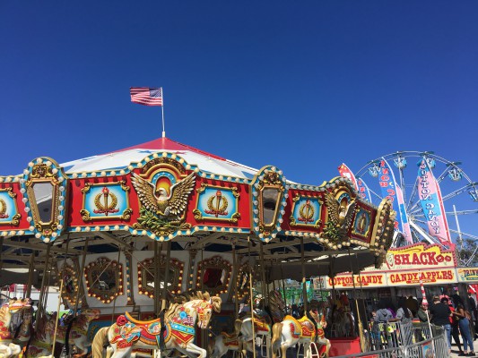 Florida State Fair- Merry Go Round