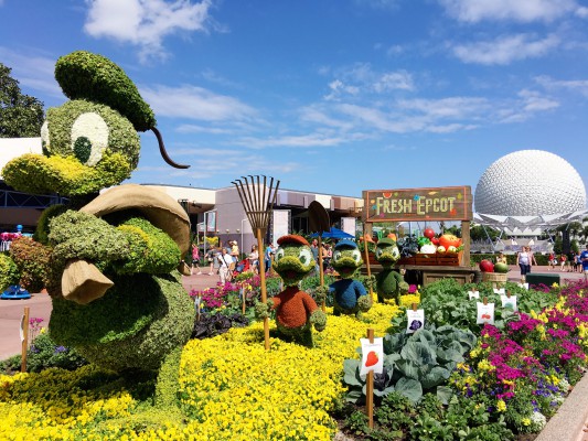 Epcot International Flower and Garden Festival