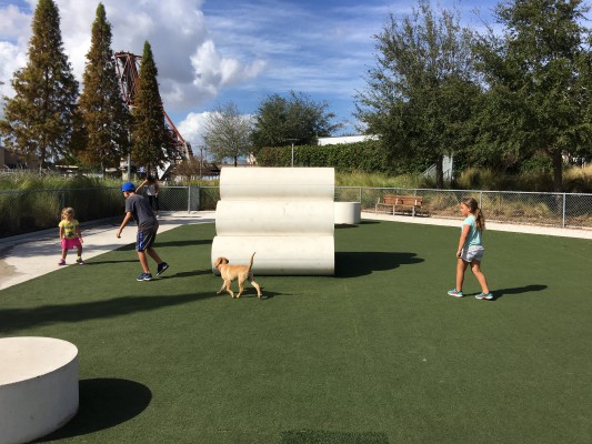 Tampa Dog Park Curtis Hixon Park