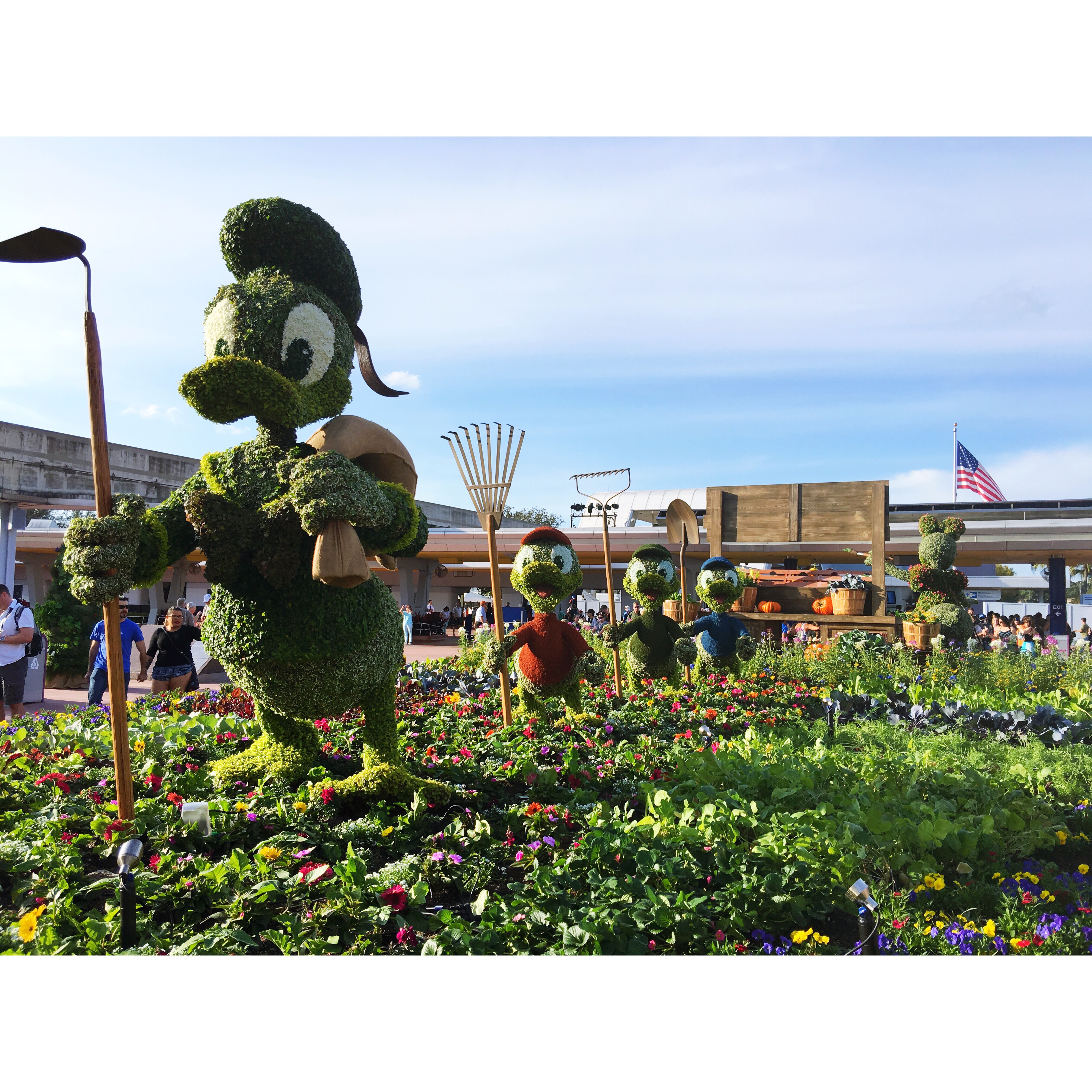 Epcot International Flower and Garden Festival Topiary Pictures 