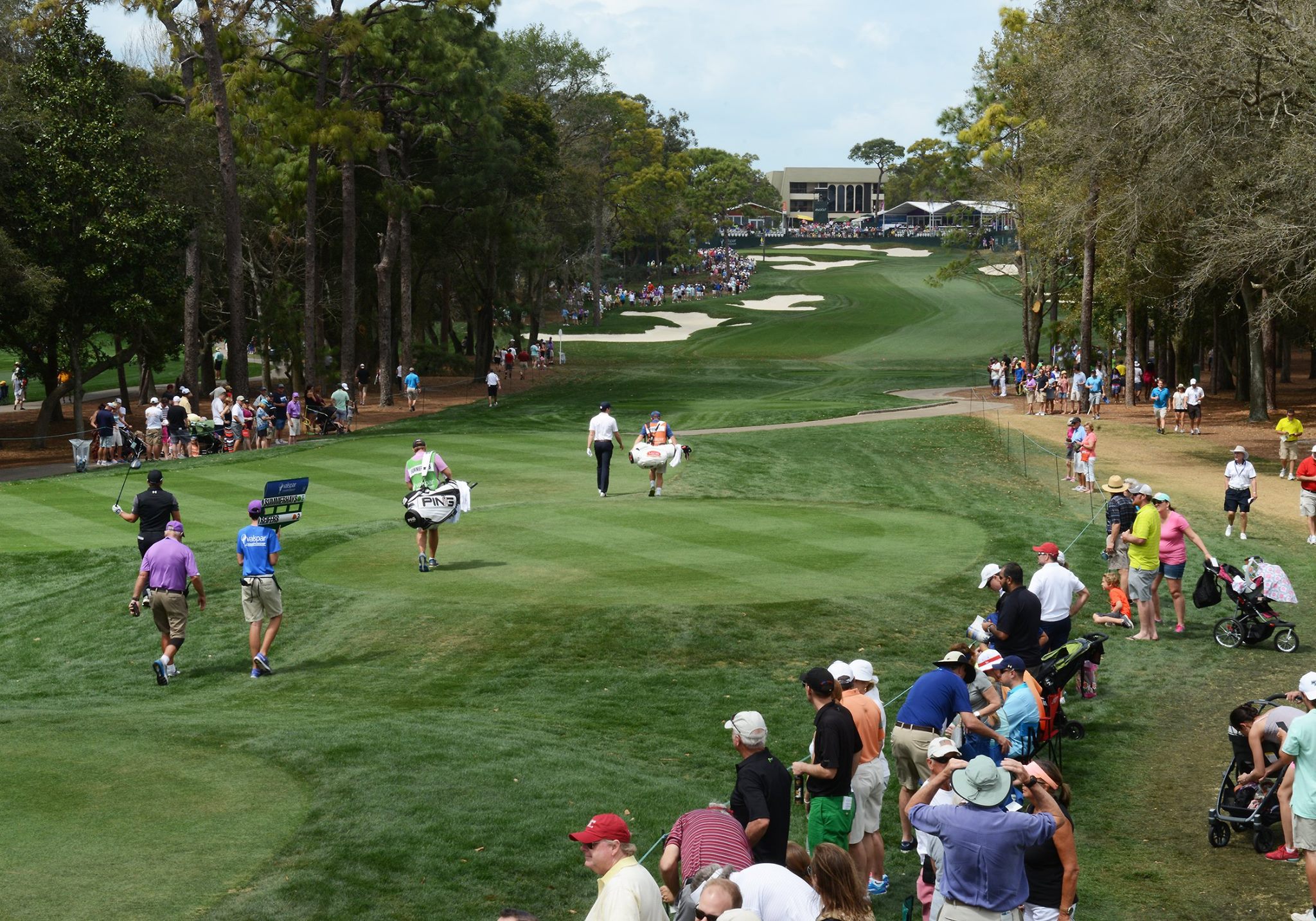 A Guide to the Valspar Championship at Innisbrook || Tampa Mama