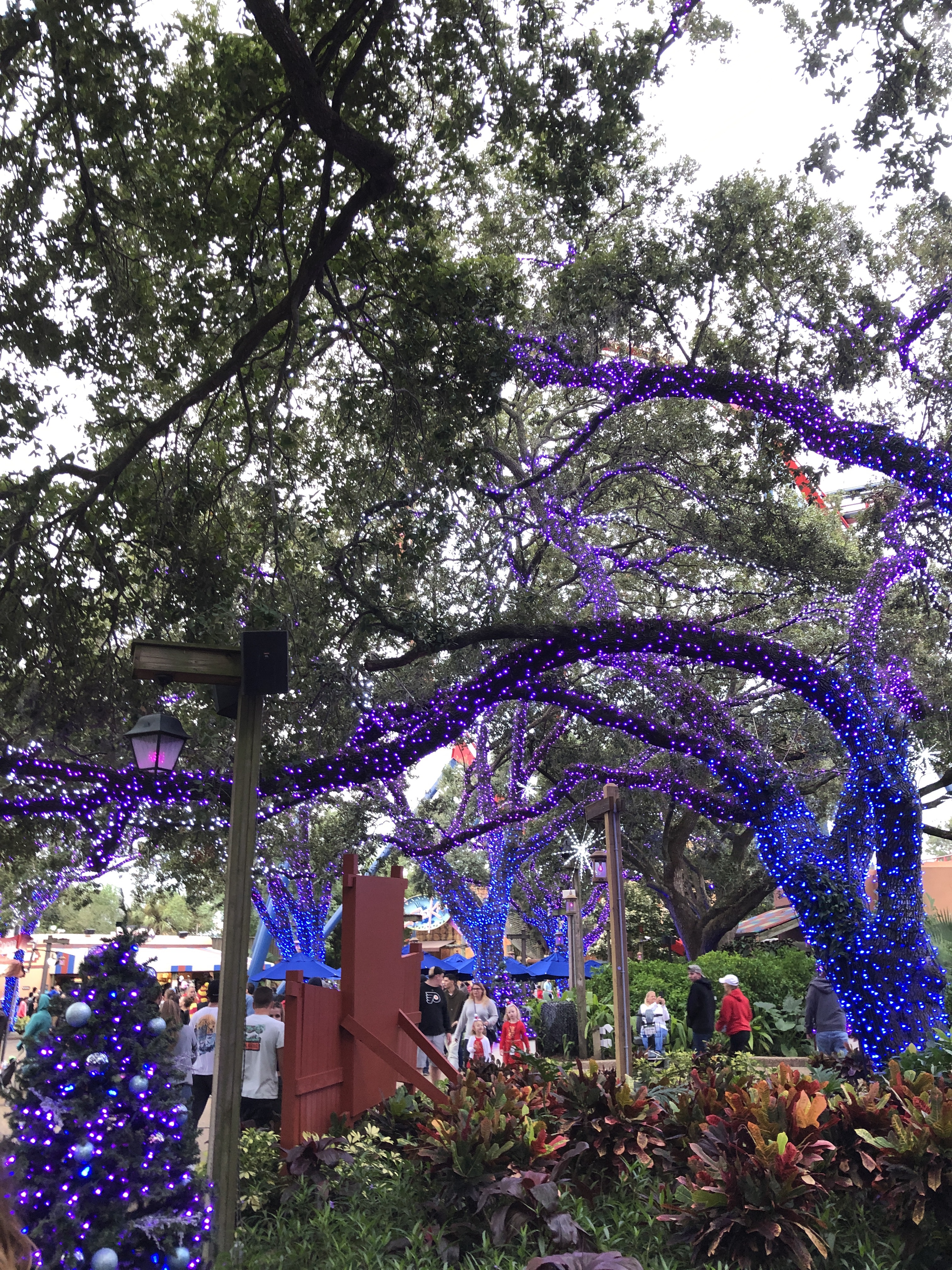 Deck The Gardens 10 Best Reasons To Visit Busch Gardens Christmas